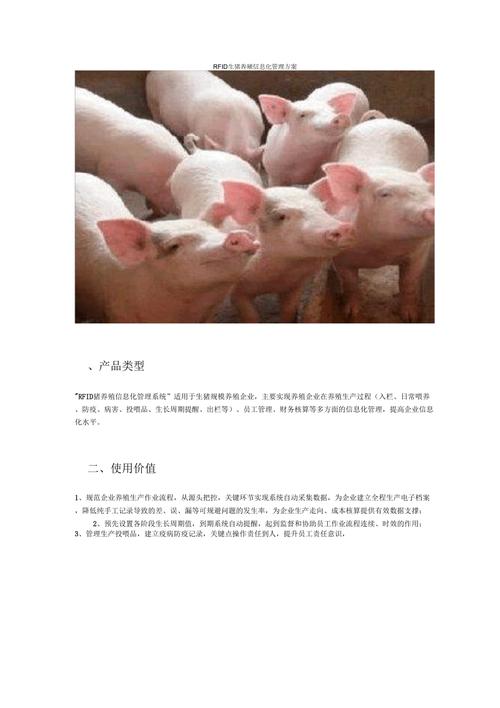 rfid在养猪业应用总结的相关图片