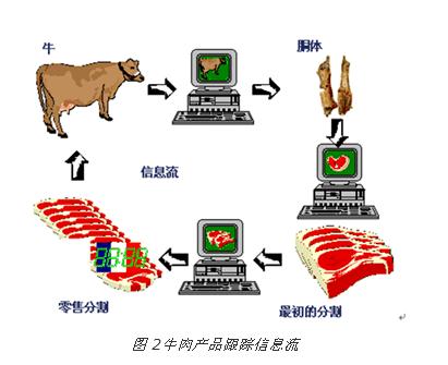 rfid在牲畜应用的案例的相关图片