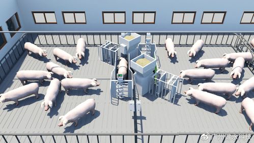 rfid猪屠宰应用的相关图片