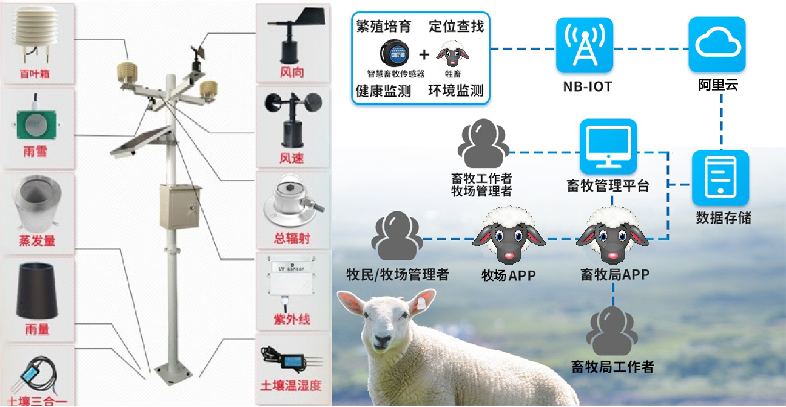 rfid羊场应用的相关图片