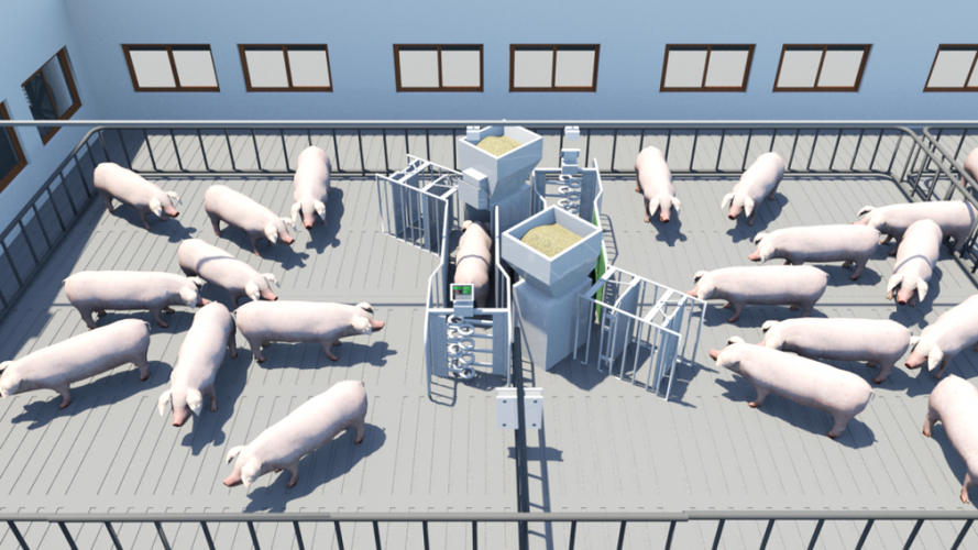 养猪产业rfid的应用的相关图片