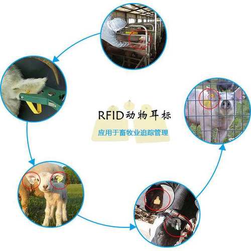 动物园RFID应用的相关图片