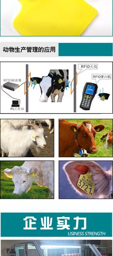 畜牧养殖中RFID的应用的相关图片